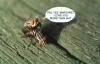 Fun_Pic_ 1084 